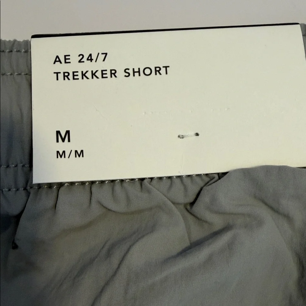 American Eagle Outfitters Men's Grey Trekker Athletic Shorts Sz M. NWT Box35